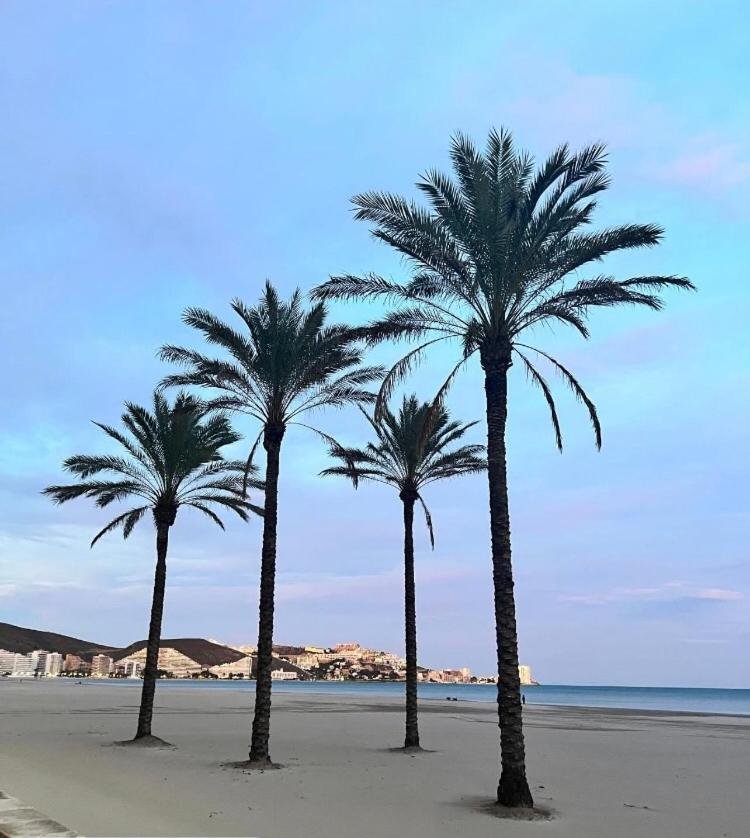 A 50 M De La Plage Cullera Buitenkant foto